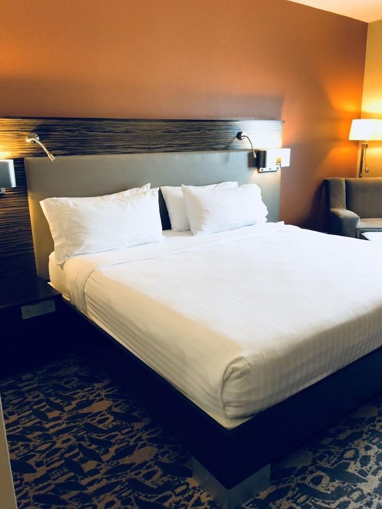 Holiday Inn Express & Suites North Dallas At Preston By Ihg Eksteriør billede
